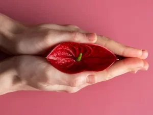 روش های قطعی جراحی زیبایی واژن