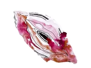 شکل واژن بعد از عمل هیسترکتومی